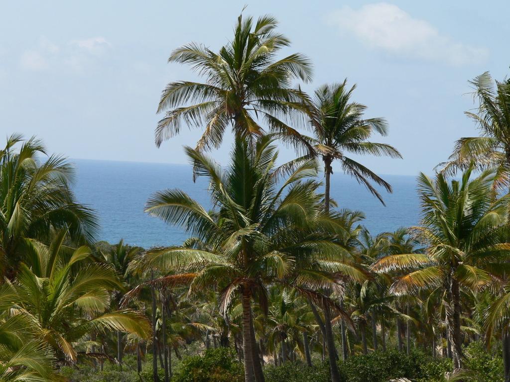 Blue Moon Beach Holiday Resort 伊尼扬巴内 客房 照片
