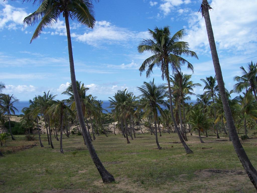 Blue Moon Beach Holiday Resort 伊尼扬巴内 客房 照片