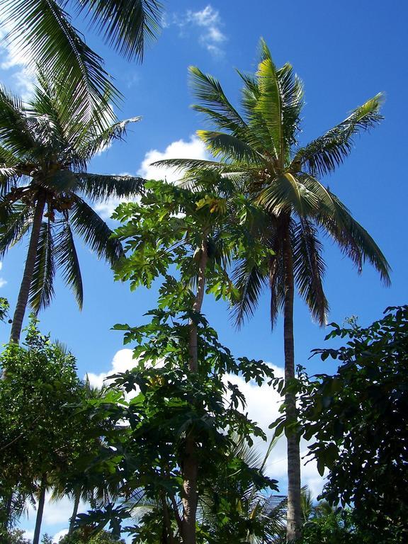 Blue Moon Beach Holiday Resort 伊尼扬巴内 外观 照片